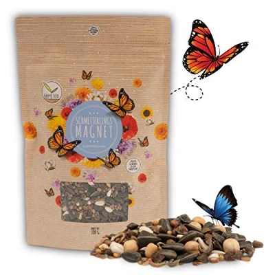 Abbildung von 100g Schmetterlingswiese Samen für eine bunte Blumenwiese Farbenfrohe &amp; nektarreiche Wildblumensamen Mischung Schmetterlinge