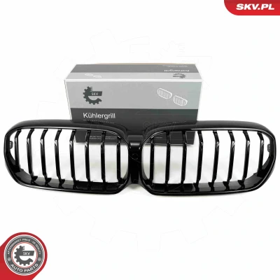 Abbildung von ESEN SKV 66SKV201 Kühlergrill schwarz, glänzend BMW: 5 Touring, Limousine