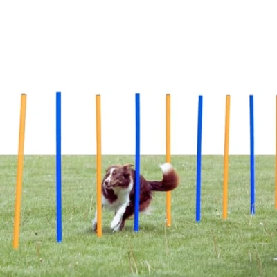 Abbildung von Trixie 12 Agility slalom pinde 115cm