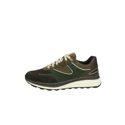Abbildung von Geox Spherica Actif Sneaker low, Herren, Größe: 43, dark coffee green Schuhe