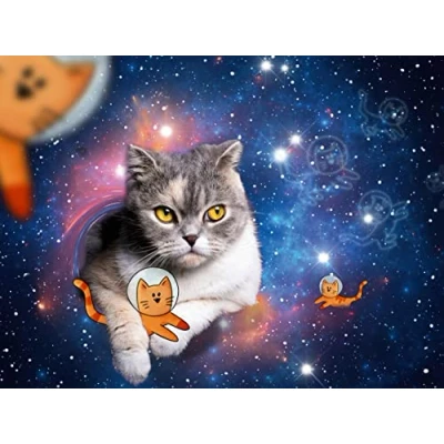 Abbildung von BRIO 10217439 Katzen fliegen im Weltall