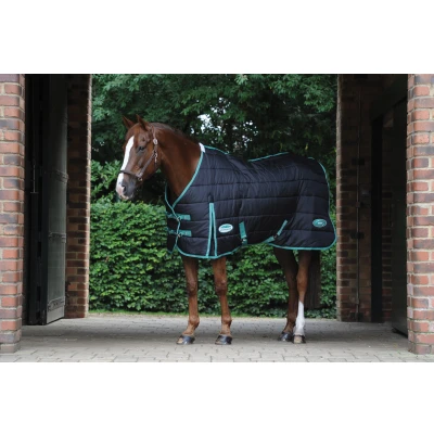 Abbildung von Weatherbeeta Stalldecke Green Tec Stable Medium/Lite 150D 150g Schwarz/Bottle 145/195