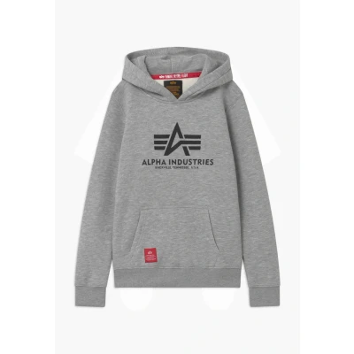 Abbildung von Alpha Industries Kapuzenpullover für Kinder, Größe: 128, Grey