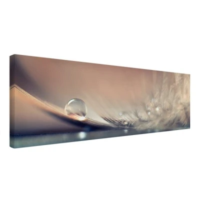 Abbildung von Bilderdepot24 Leinwandbild Modern Landhausstil Feder Macro creme beige Bild auf Leinwand XXL, Leinwand, Leinwanddruck in vielen Größen