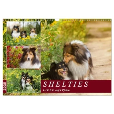 Abbildung von SHELTIES Liebe auf 4 Pfoten (Wandkalender 2025 DIN A3 quer), CALVENDO Monatskalender
