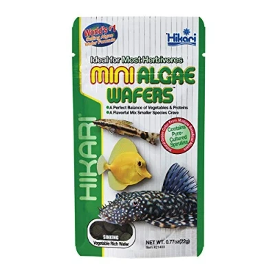 Abbildung von Hikari Mini Algen Wafers Fischfutter 22 g...