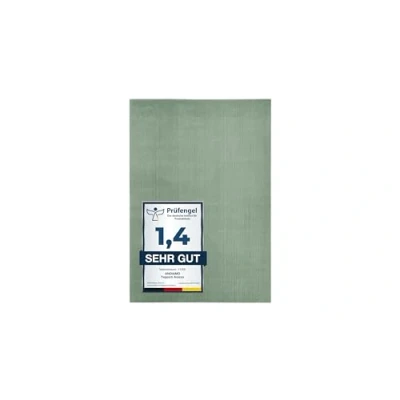 Abbildung von andiamo Teppich Arezzo waschbar Wohnzimmer Esszimmer pflegeleichter eleganter gemütlicher Wohnzimmerteppich Fellteppich einfarbig 80 x 150 cm salbeigrün