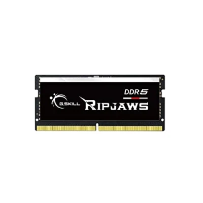 Abbildung von G.Skill Ripjaws F5 4800S3434A16GX1 RS Speichermodul 16 GB 1 x DDR5 4800 MHz