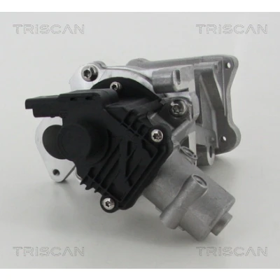 Abbildung von TRISCAN 8813 10007 AGR Ventil elektrisch mit Dichtungen FORD: S Max Mk1, MONDEO 4 Turnier, Galaxy Mk2 MPV, CITROËN: C5 III Kombi, C8 II, C Crosser SUV