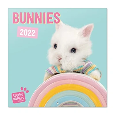 Abbildung von Grupo Erik Studio Pets Hasen Kalender 2022 Wandkalender Groß für 16 Monate