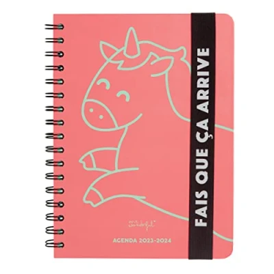 Abbildung von Mr. Wonderful Agenda Teen 2023 2024 Wochenkalender Rosa Fais que ce passiert