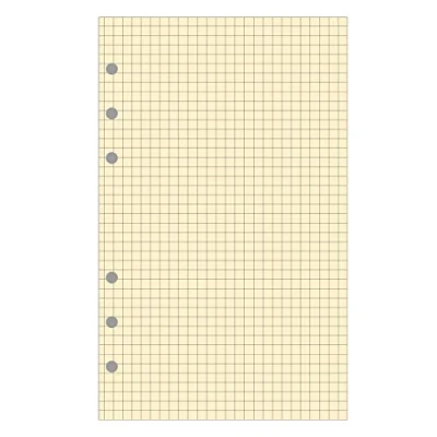 Abbildung von Exacompta 18 Nachfüllpack Blatt kariert 5 x Für Exatime 17 40 elfenbeinfarben