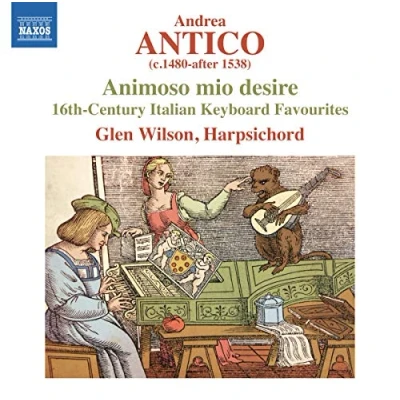 Abbildung von Animoso Mio Desire