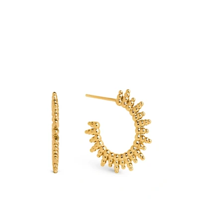 Abbildung von Singularu Pebbles Ohrringe, Damen, Größe: One Size, Oro