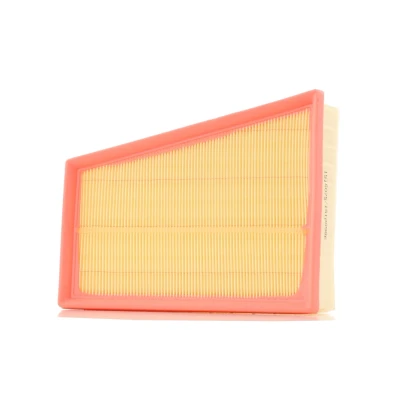 Abbildung von RIDEX 8A0868 Luftfilter 54 190 243 Filtereinsatz mit Vorfilter RENAULT: MEGANE 2 Kombi, Kangoo II / Grand Kangoo, Coupe Cabriolet