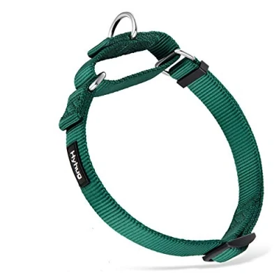 Abbildung von Hyhug langlebiges Nylon Erstickungshalsband, geeignet für den täglichen Gebrauch und das Training von kleinen, mittleren großen Hunden (Klein, Dunkelgrün)