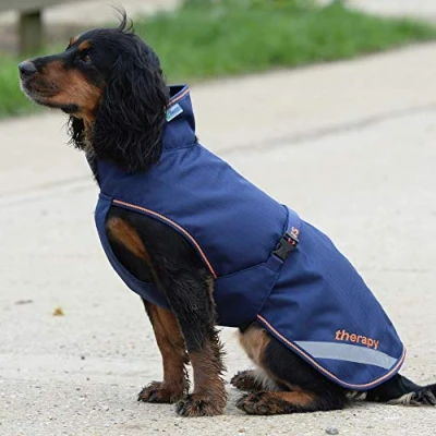 Abbildung von Bucas Therapy Dog Rug Navy Orange 40cm Agradi.deVerkauft von Agradi