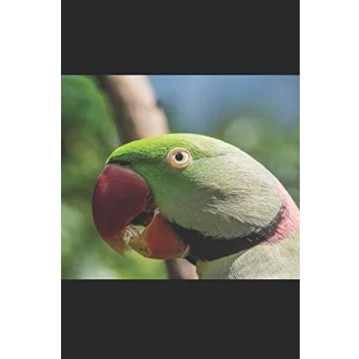 Abbildung von Halsbandsittich: Notizbuch / Tagebuch Sittich DIN A5 120 Seiten liniert Geschenke für Vogelliebhaber Vogelbeobachtung