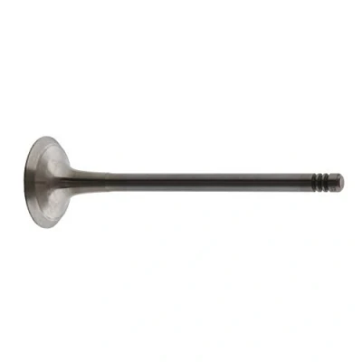 Abbildung von Auslassventil FEBI BILSTEIN 34159