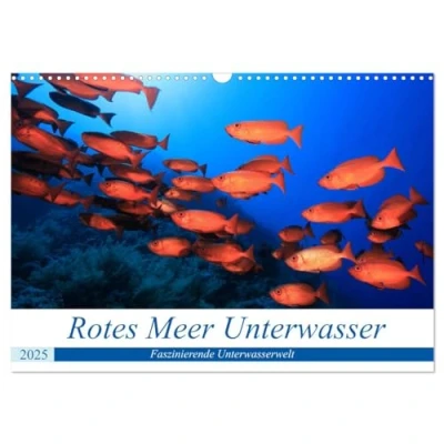 Abbildung von Rotes Meer Unterwasser (Wandkalender 2025 DIN A3 quer), CALVENDO Monatskalender