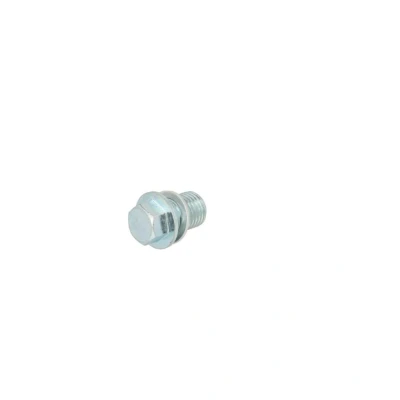 Abbildung von CORTECO 49362597 Ölablaßschraube M14 x 1,5 19 mit Dichtring SUZUKI: SX4 I Schrägheck, Splash, Limousine, NISSAN: Pixo