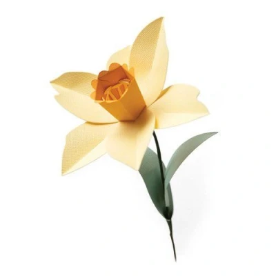 Abbildung von Sizzix Bigz L Die Daffodil 665107 Olivia Rose (01 21)