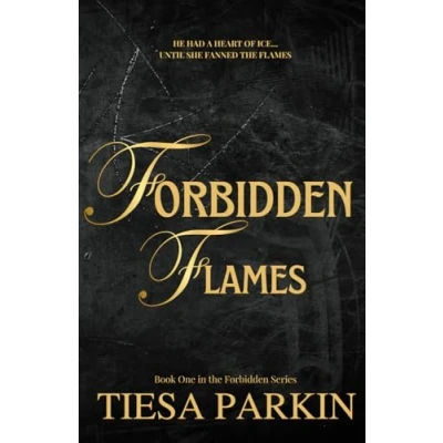 Abbildung von Forbidden Flames: A brother&#039;s best friend billionaire romance