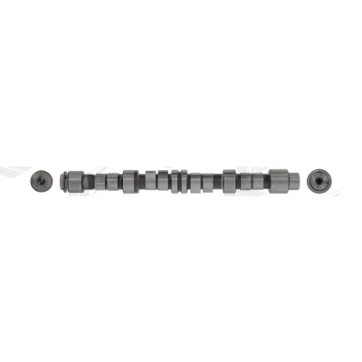 Abbildung von AE CAM729 Nockenwelle RENAULT: CLIO 2