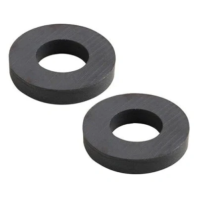 Abbildung von WOLFPACK Ferritmagnet 45 x 20 8 mm, rund, 2 Stück in Blister (Metall, mehrfarbig)