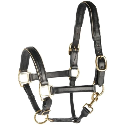 Abbildung von Harry&#039;s Horse Halfter Leder, schwarz mit Besatz Full Gold