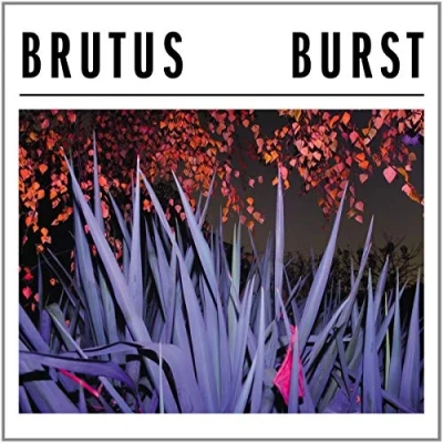 Abbildung von Burst [Vinyl LP]