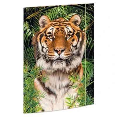 Abbildung von RNKVERLAG 45367 Zeichenmappe Tiger 310 x 440 mm, Dokumentenmappe für DIN A3, mit Gummizugverschluss, 1 Stück
