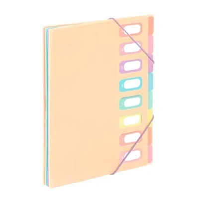 Abbildung von Viquel A4 Dokumentenmappe mit 8 Fächern Rainbow Pastell