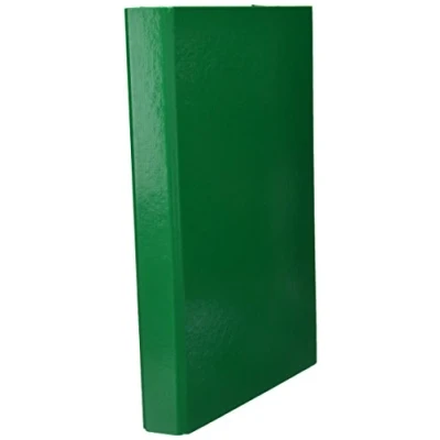 Abbildung von Pagna Heftbox Basic Colours A4 3 Innenklappen, mit Gummizugverschluss, grün