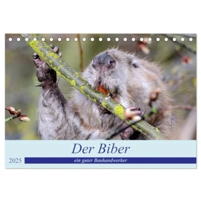 Abbildung von Der Biber, ein guter Bauhandwerker (Tischkalender 2025 DIN A5 quer), CALVENDO Monatskalender