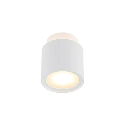 Abbildung von Arcchio Strahler Walisa, Modern, Aluminium, Glas, weiß RAL 9003, 2 flammig, GU10, Deckenlampe