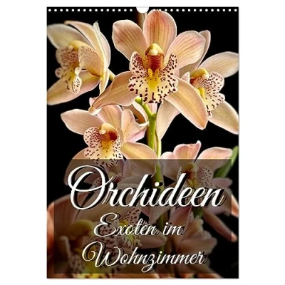 Abbildung von Orchideen Exoten im Wohnzimmer (Wandkalender 2025 DIN A3 hoch), CALVENDO Monatskalender