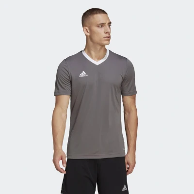 Abbildung von adidas Performance Entrada 22 Sport Tshirt, Herren, Größe: Large, Team grey four