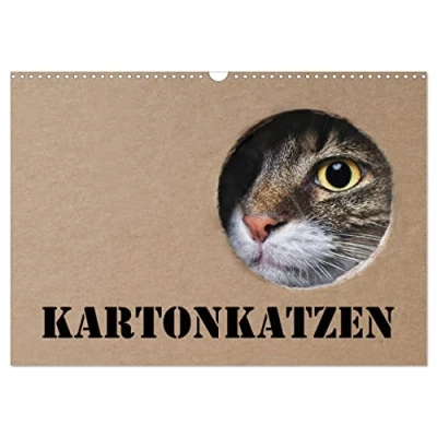 Abbildung von Karton Katzen (Wandkalender 2025 DIN A3 quer), CALVENDO Monatskalender