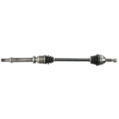 Abbildung von Antriebswelle PASCAL G2R090PC