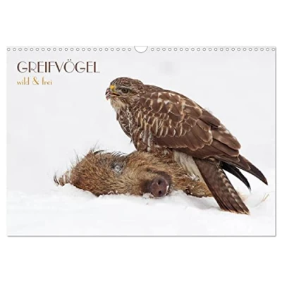 Abbildung von GREIFVÖGEL wild &amp; frei (Wandkalender 2025 DIN A3 quer), CALVENDO Monatskalender