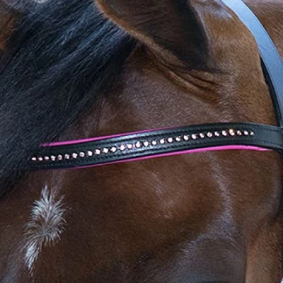Abbildung von Star Trense Diamond Englisch Kombiniert Fuchsia Shetland