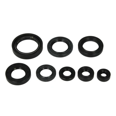 Abbildung von Motorsimmerringsatz ATHENA P400210400101