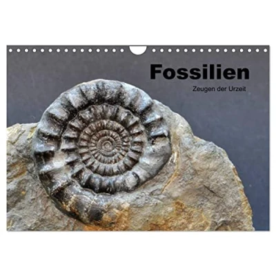 Abbildung von Fossilien Zeugen der Urzeit (Wandkalender 2025 DIN A4 quer), CALVENDO Monatskalender