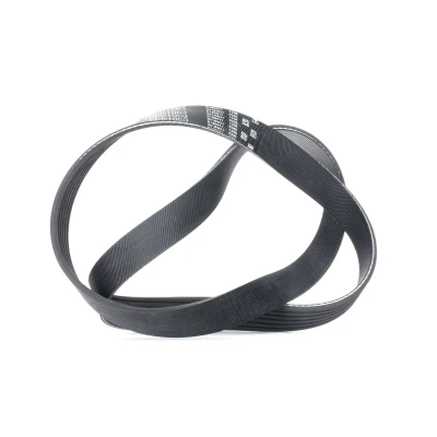 Abbildung von GATES 6PK1053 Keilrippenriemen 1053 6 Polyester, EPDM (Ethylen Propylen Dien Kautschuk) RoadMax Value Line VOLKSWAGEN: Golf 5 Variant kfzteile,