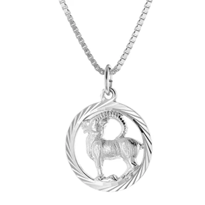 Abbildung von trendor 15360 01 Steinbock Sternzeichen Halskette Silber 925