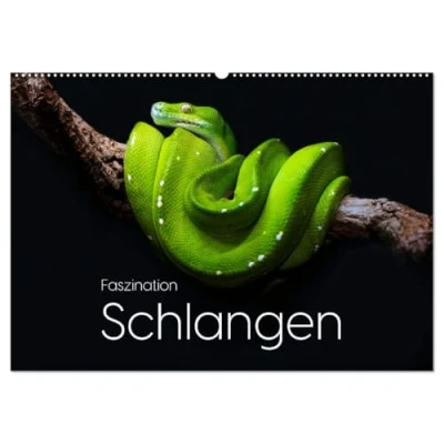 Abbildung von Faszination Schlangen (Wandkalender 2025 DIN A2 quer), CALVENDO Monatskalender