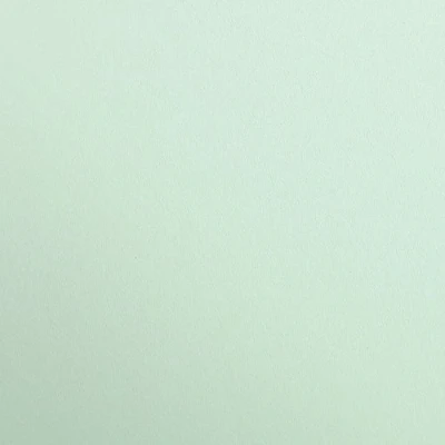 Abbildung von Clairefontaine 97368C Packung (mit 25 Bögen Zeichenpapier Maya, DIN A4, 21 x 29,7 cm, 120g, glatt, ideal für Trockentechnik und Einrahmen) minze