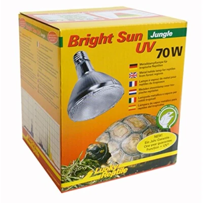 Abbildung von Lucky Reptile Bright Sun UV Jungle