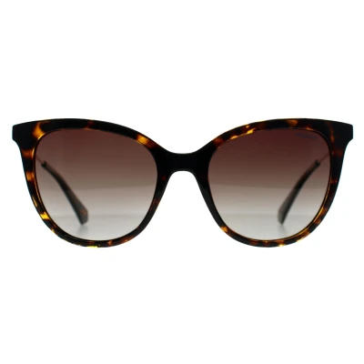 Abbildung von Polaroid Damen PLD 4184/S/X 086/LA Gläser SONNENBRILLEN Polycarbonat Havanna Braun Quadratisch Polarisiert Schattiert